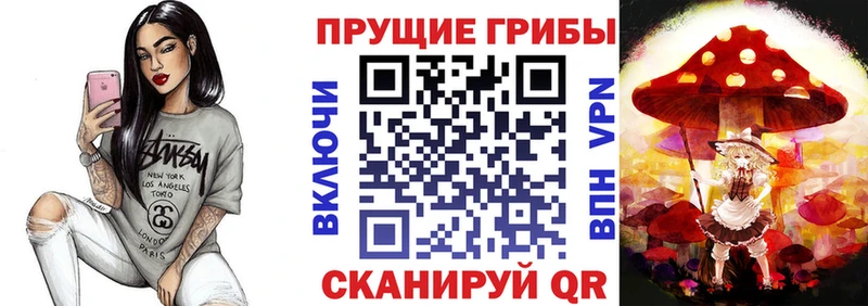 Купить где  Сертолово  Псилоцибиновые грибы GOLDEN TEACHER 