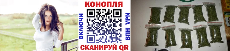 Купить где  Сертолово  Канабис SATIVA & INDICA 